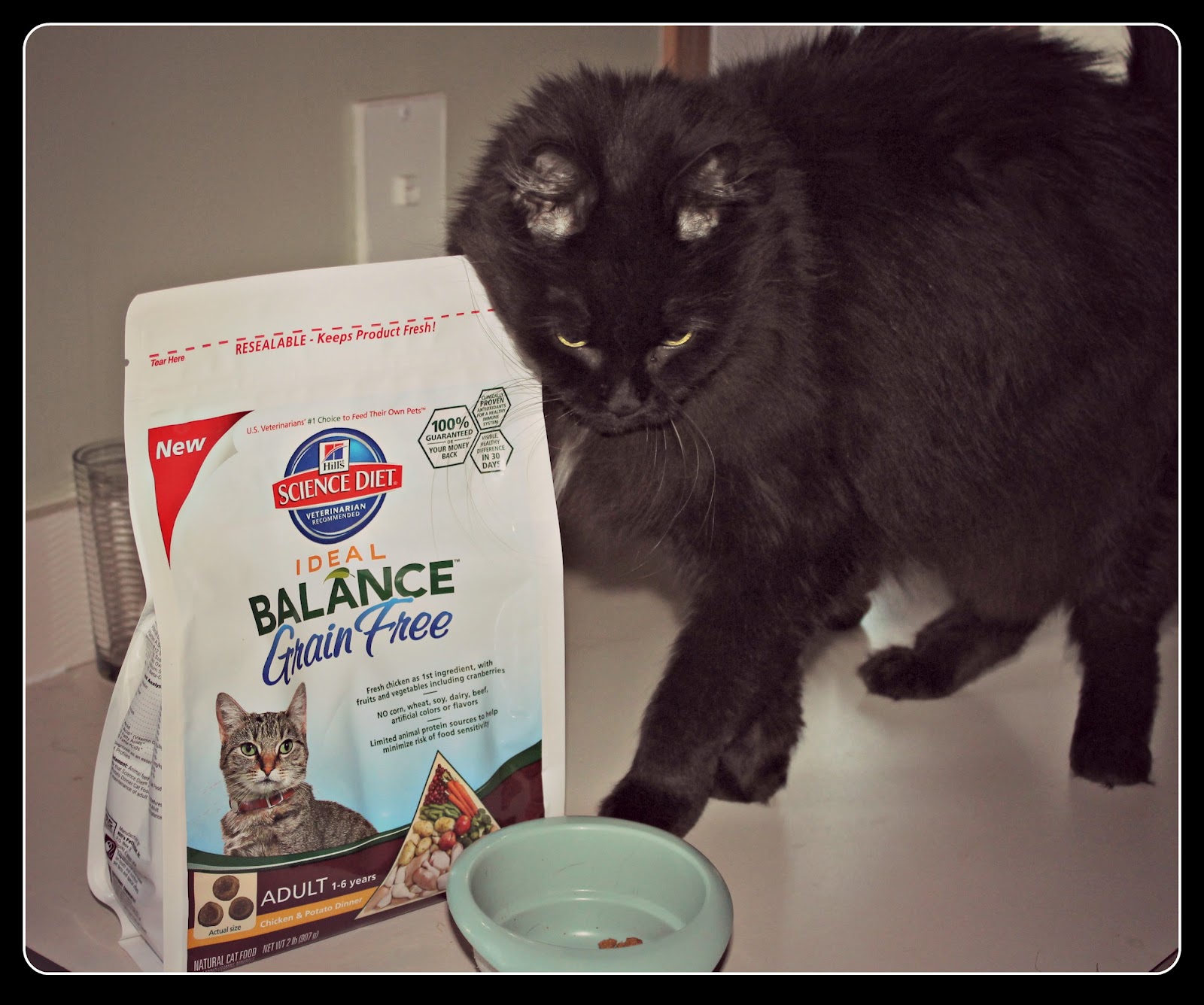 ideal balance grain free cat food