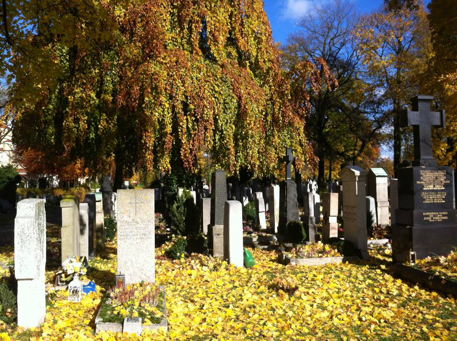 Licht Im Kuddelmuddel Der Blog Zum Deutschlernen 2012