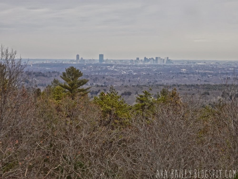 View of downtown Boston from Great Blue HIll