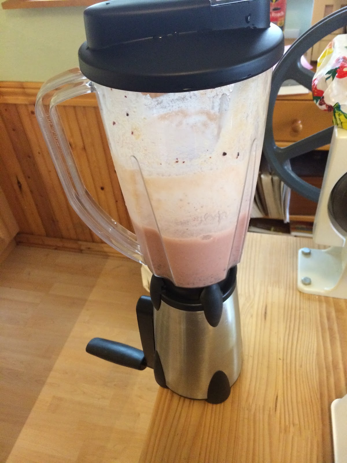 Plain & Simple The Vortex HandCranked Blender