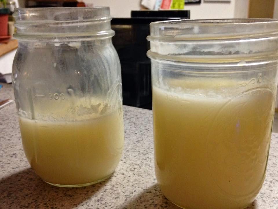 Rendering Beef Suet to Tallow