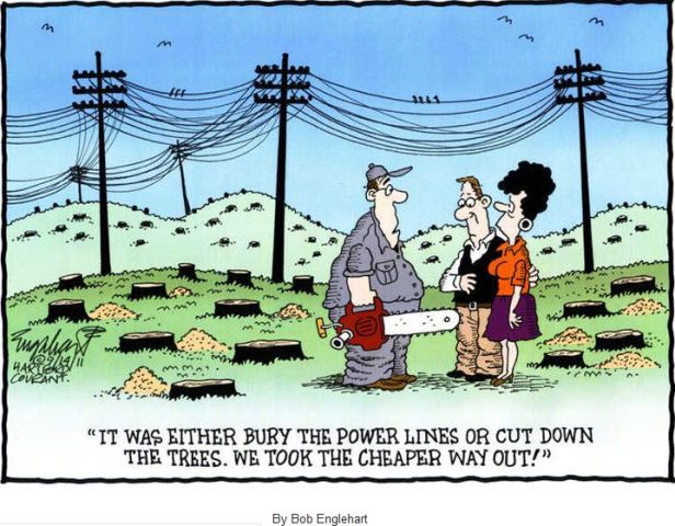 Cut Tree Cartoon