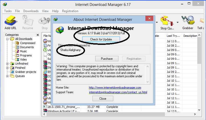 Ranorex Crack Internet