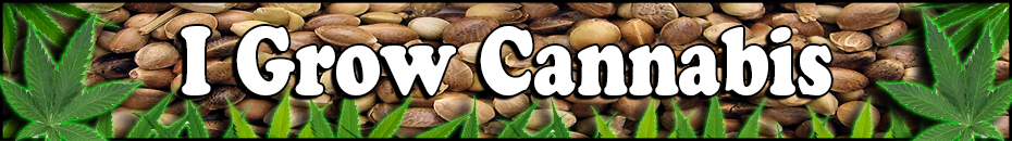 I Grow Cannabis - Cannabis Seeds