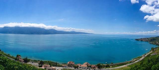 Lavaux Vineyard Terraces Switzerland lake geneva 