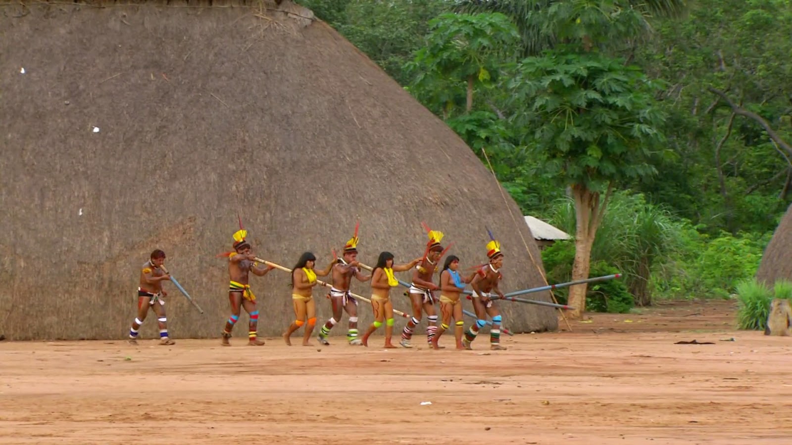 Слезы Амазонки / Tears of the Amazon. 2010. Слезы Амазонки / Tears of the Amazon. 2010.