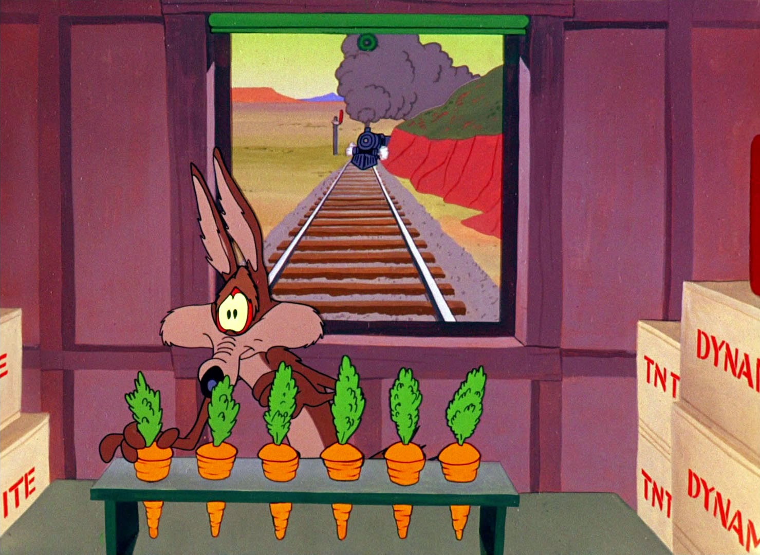 coyote operation wile looney tunes rabbit cartoons wiley cartoon looneytunescaps bugs bunny runner road traps posted toons