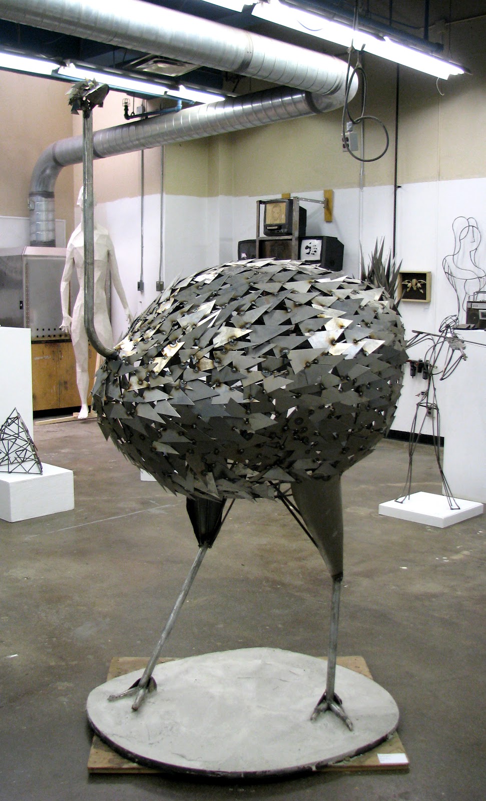 Ostriches Body Shape