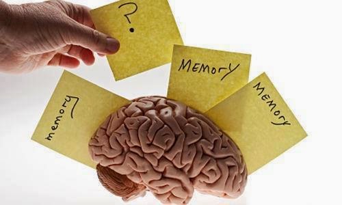 Pdf الذاكرة والنسيان