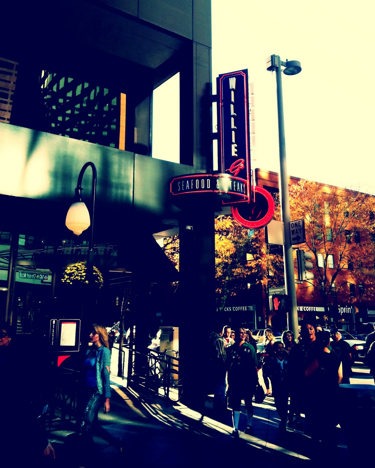 the d.m.v. and other things The Curious Plate