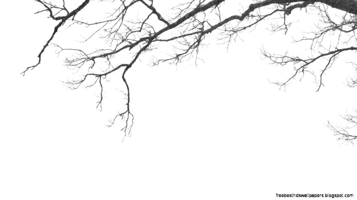 Tree snow by kemayo on DeviantArt Tree snow by kemayo on DeviantArt