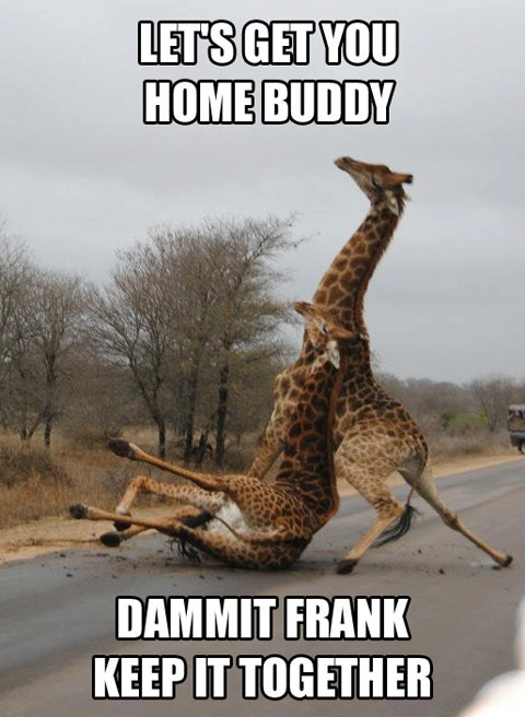 Funny+Giraffe+Gooing+Back+from+School+Funny+Animals+Pictures+for+Fun+%25281%2529.png