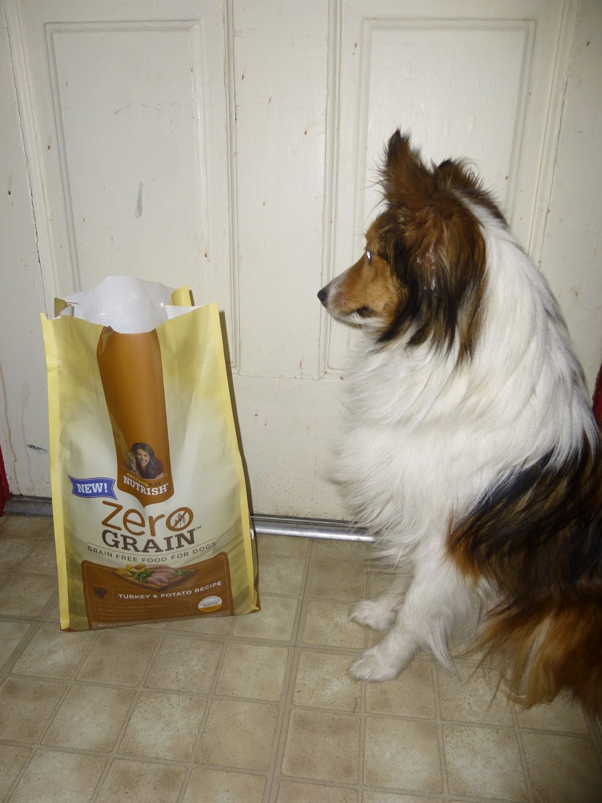 At the Fence Rachel Ray's Nutrish Zero Grain! Healthy Food for Your Dog!