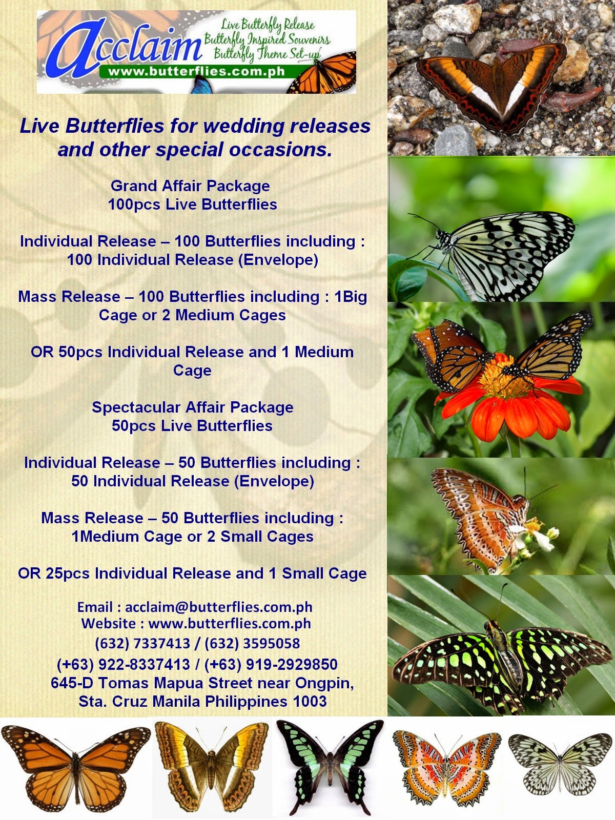 Acclaim Butterflies Live Butterflies for wedding releases and other
