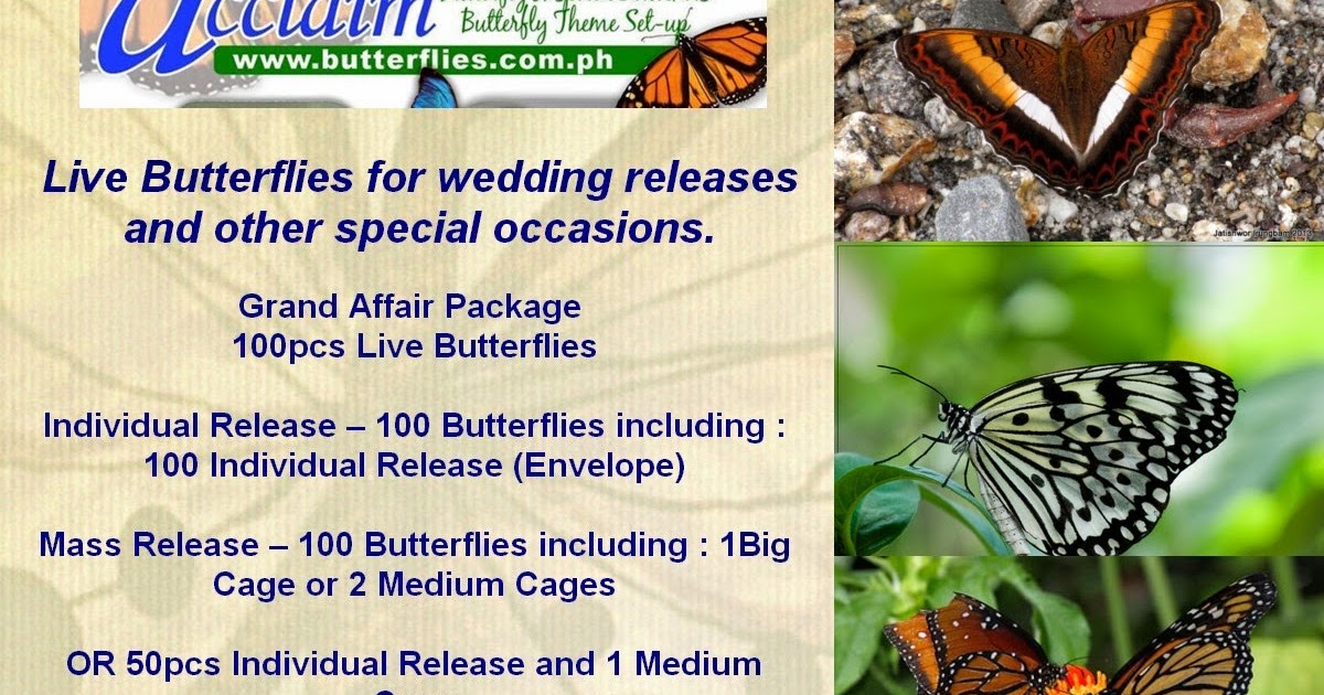 Acclaim Butterflies Live Butterflies for wedding releases and other