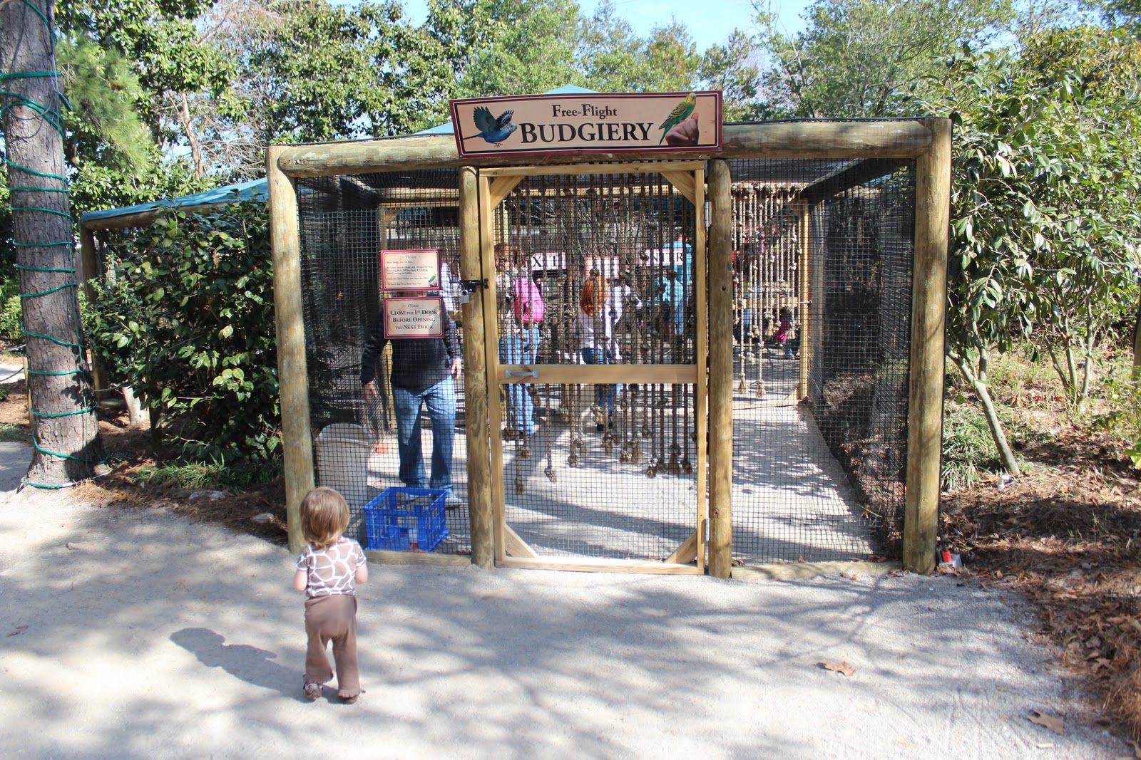 Family fun in Pensacola The Gulf Breeze Zoo!