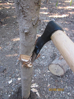 Hacha Pallarés, el Tomahawk del Pirineo. Hacha+pallares+003