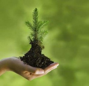 Pelestarian Dan Konservasi Sumber Daya Alam Atau Preservation And Conservation Of Natural Resources Dr Arif Zulkifli Nasution