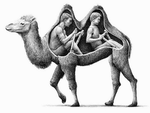 14-Camel-Rowing-Redmer-Hoekstra-Surreal-Animals-Ink-Drawings-www-designstack-co