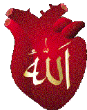 Allah (S.W.T.)