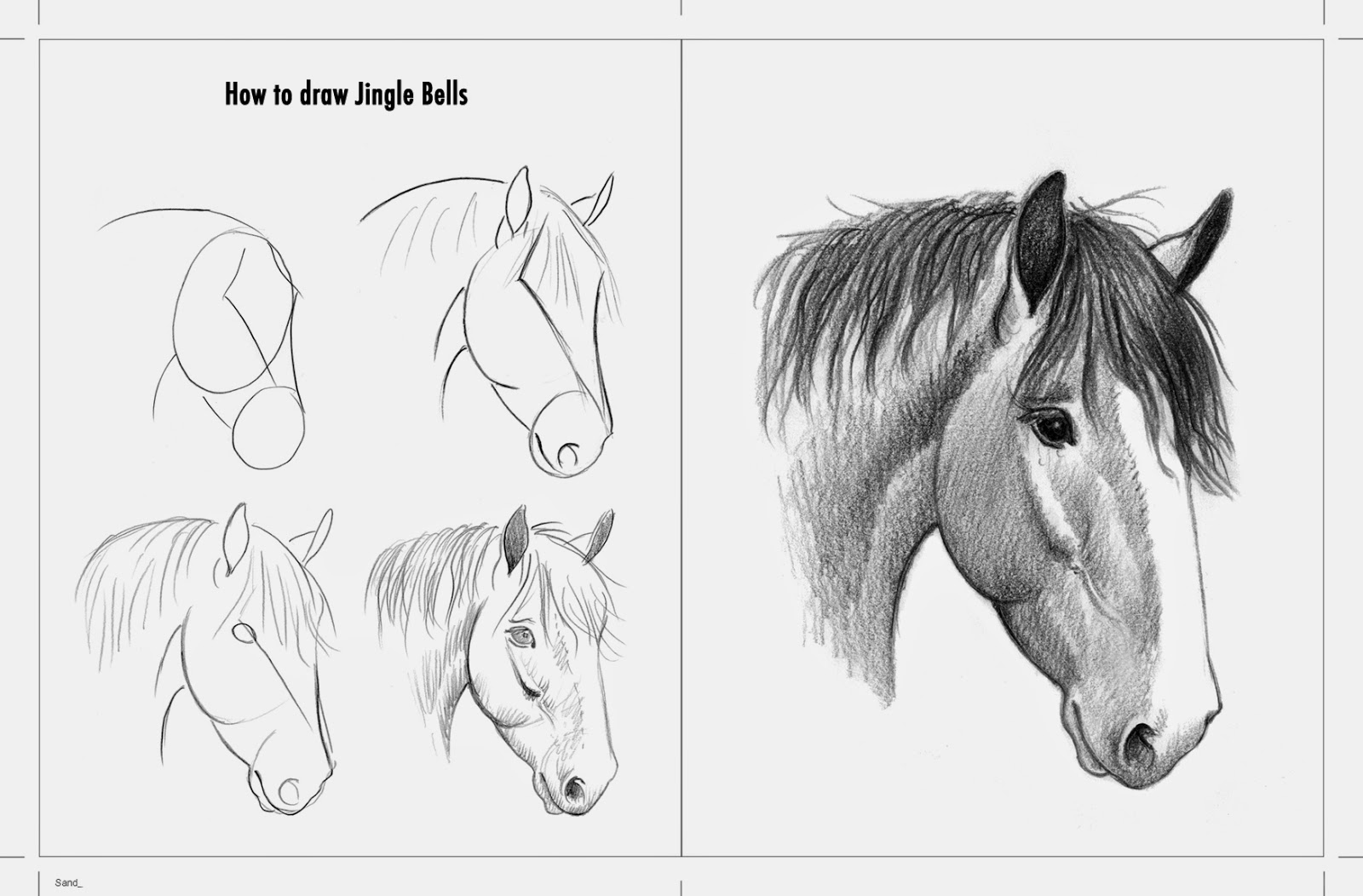 Horse Diaries- An illustrator’s journey Horse Diaries- An illustrator’s journey