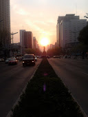 Avenida Reforma Df.