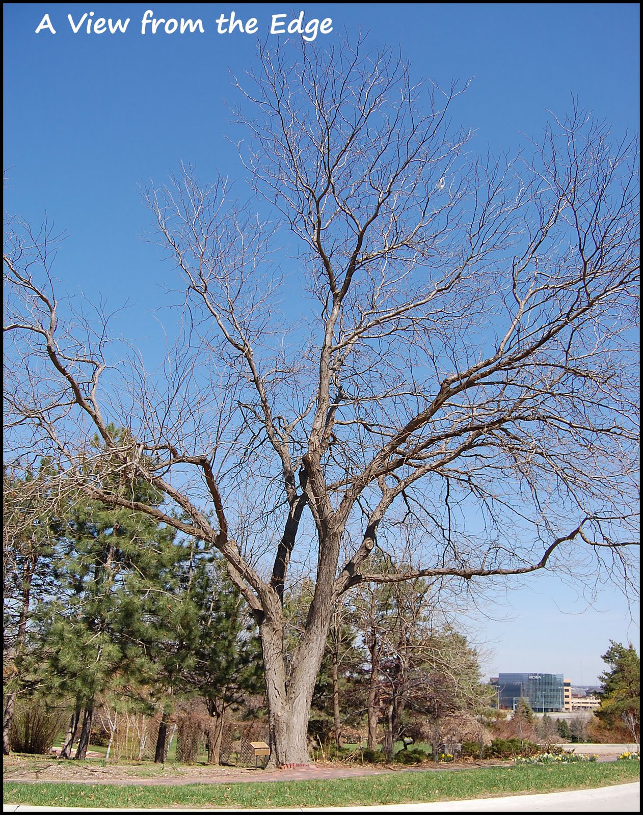 A View from the Edge April 2011