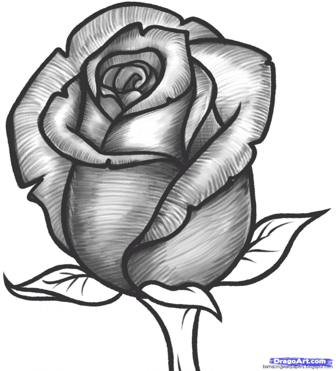 Easy Pictures Of Roses To Draw Bouquet Idea Easy Pictures Of Roses To Draw Bouquet Idea
