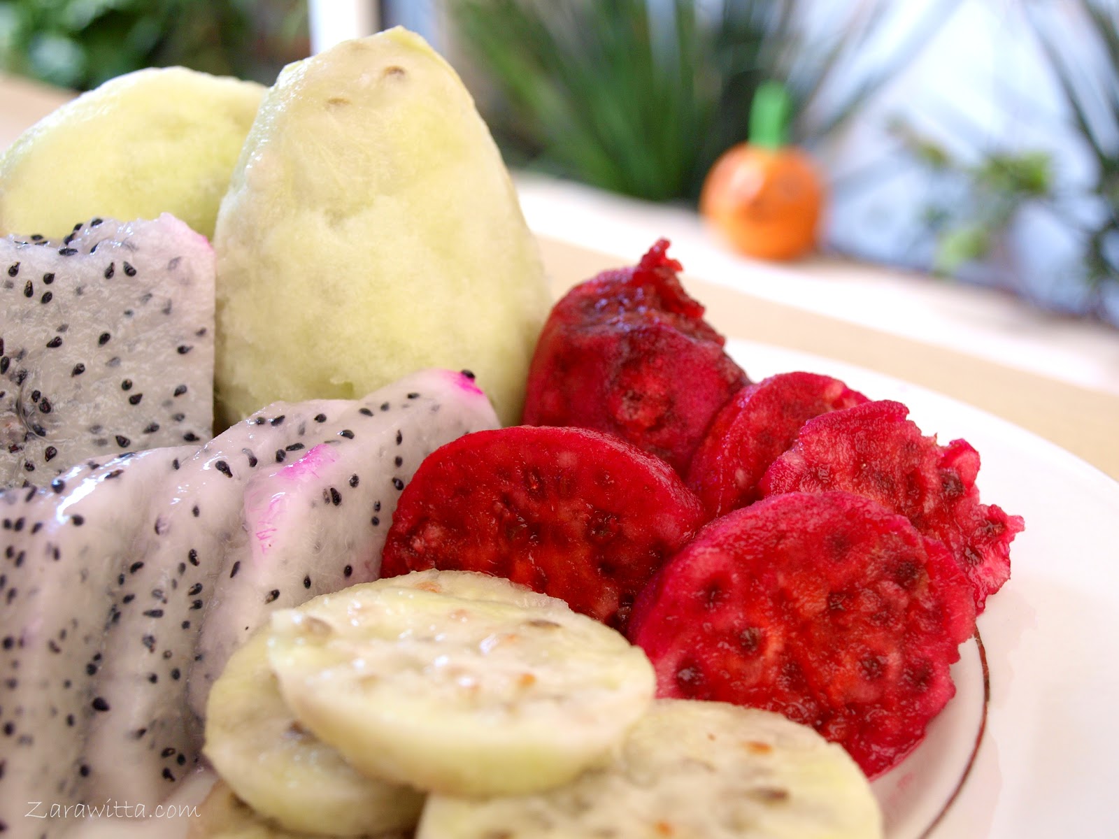 Zarawitta Viaje al centro de la beca Pitayas, tunas verdes y tunas