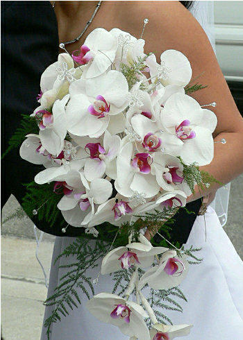 orchid arrangements for wedding receptions