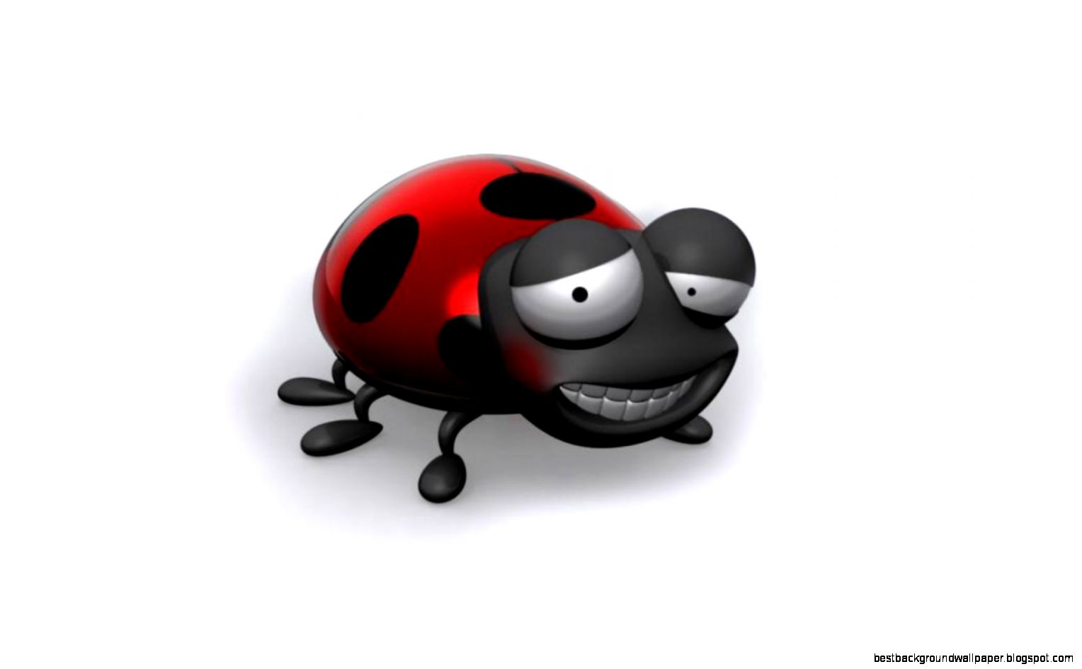 3d lady bird wallpaper Wallpaper 4K Wallpaper HD 4K 3d lady bird wallpaper Wallpaper 4K Wallpaper HD 4K