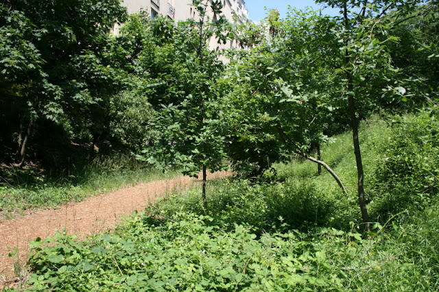 rencontre par département chat gratuit