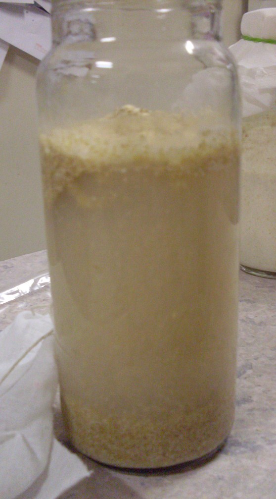 Just Like My Nan Made Bokashi Powder Part 1