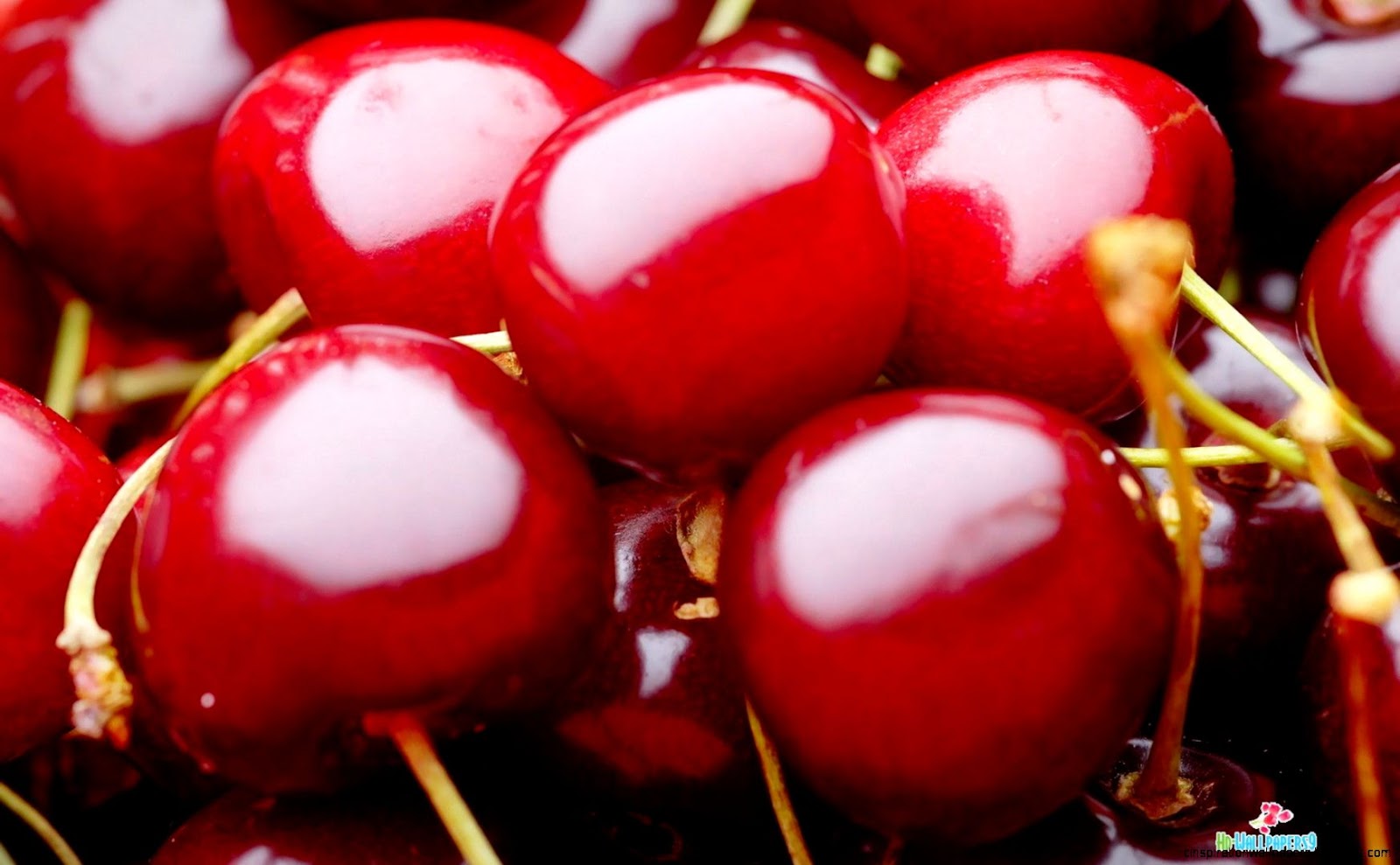 Cherries Fruit Cherries Fruit