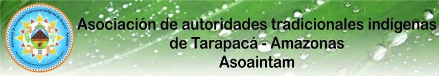 Asociación de autoridades tradicionales indígenas de Tarapacá - Amazonas