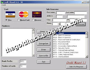 Visa Card Generator Download