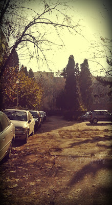 sunny winter day 2012