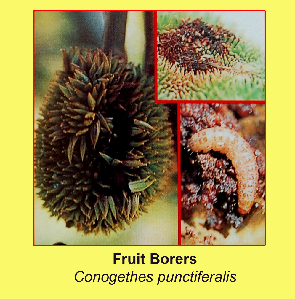 ebook Seawater Sediment Interactions