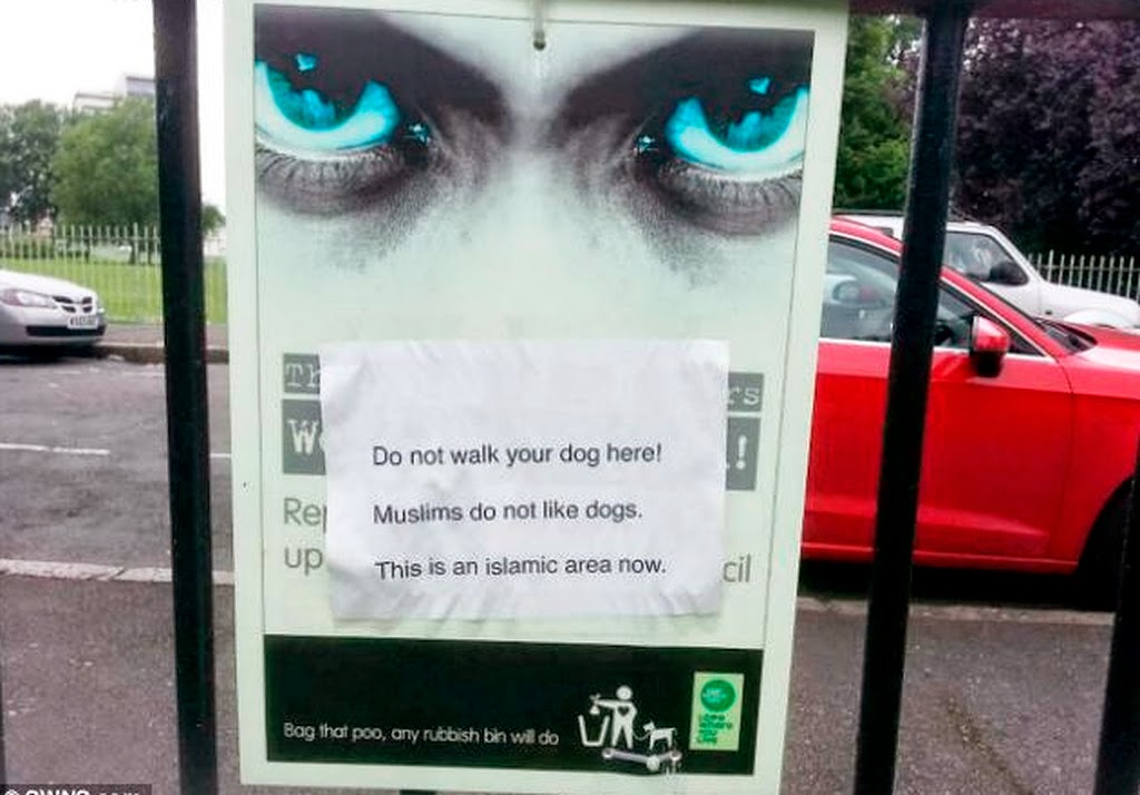 bürgermeisterin hechingen bildzeitung