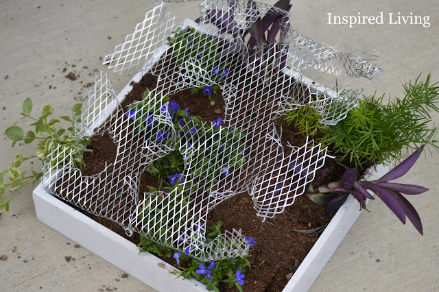 Inspired Living: Vertical Wall Garden How-To