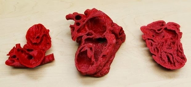 3d Printed heart