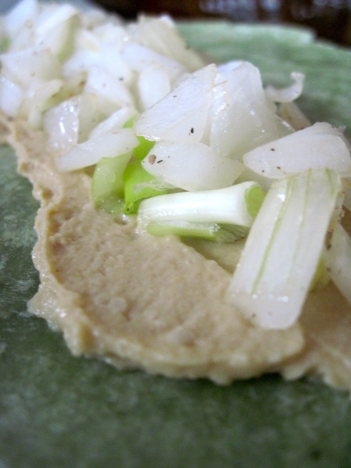 Color Me Caroline Grilled Chicken Hummus Wrap