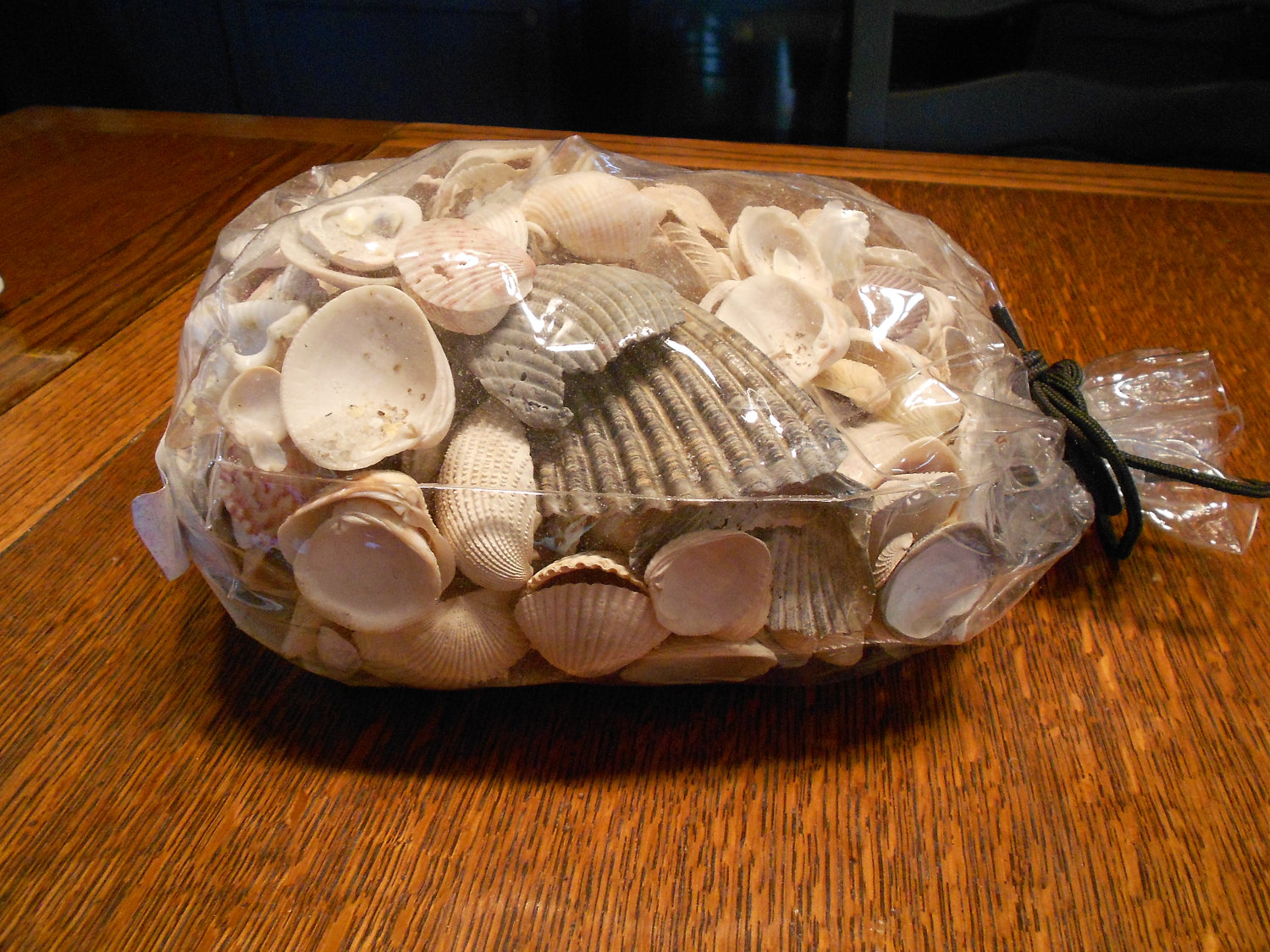 Bag Of Seashells Bag Organizer Images