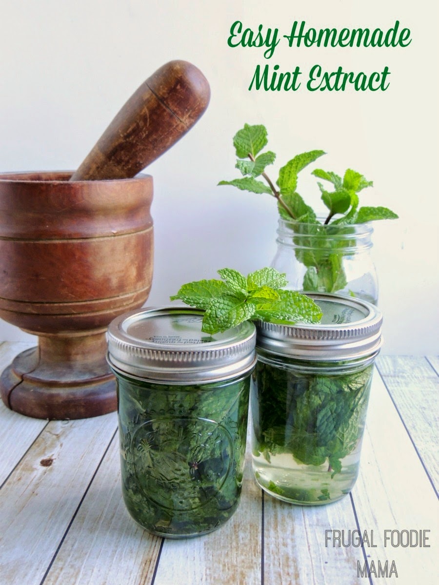 Frugal Foodie Mama Easy Homemade Mint Extract