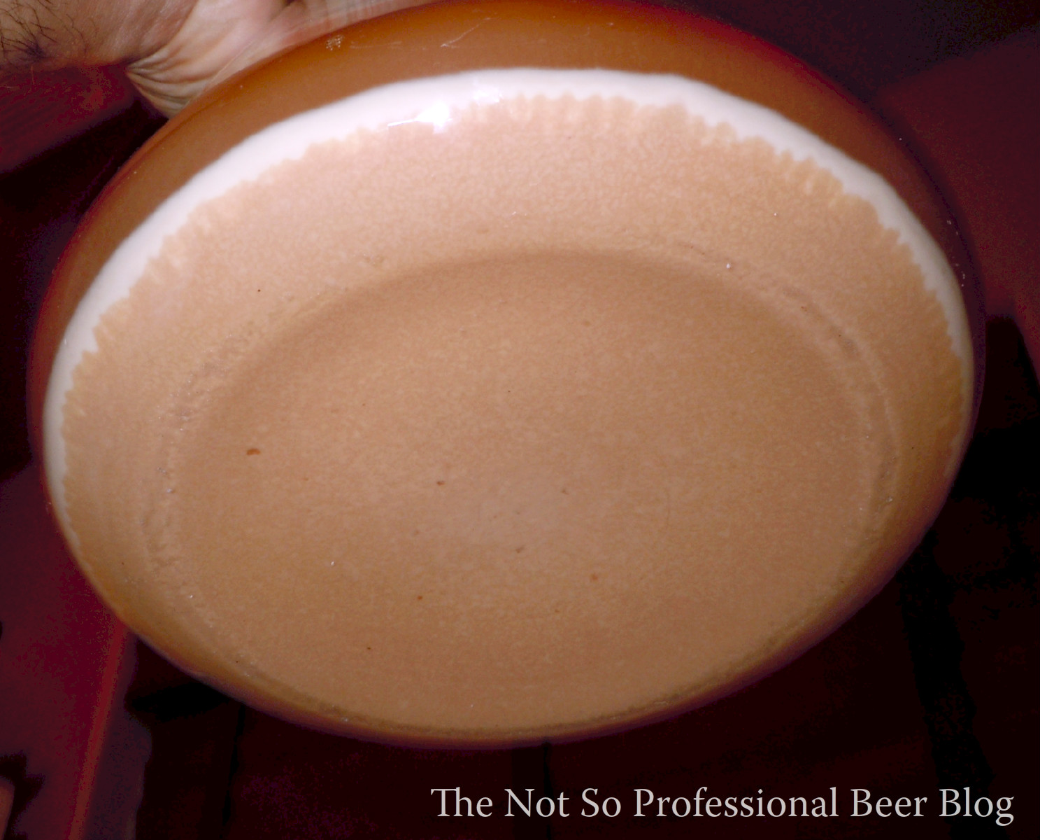 The Not So Professional Beer Blog Making a Yeast Starter