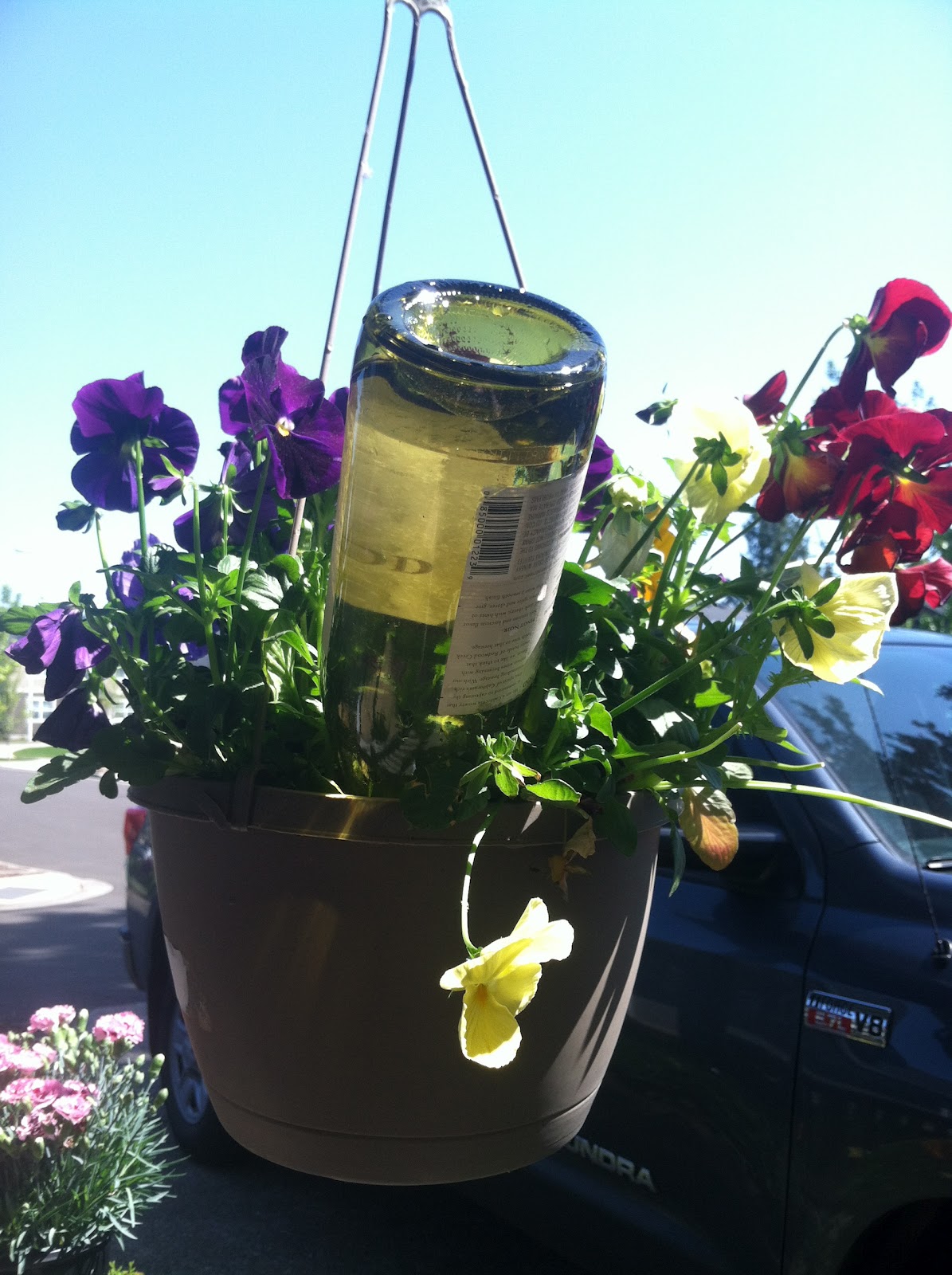 Erika'sBackToBasics Watering hanging baskets with wine bottles