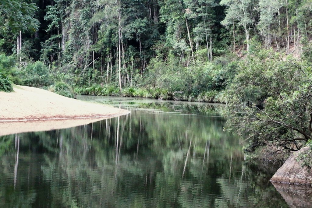 National Park Odyssey Charlie Moreland, Imbil State Forest, QLD. Revisit.