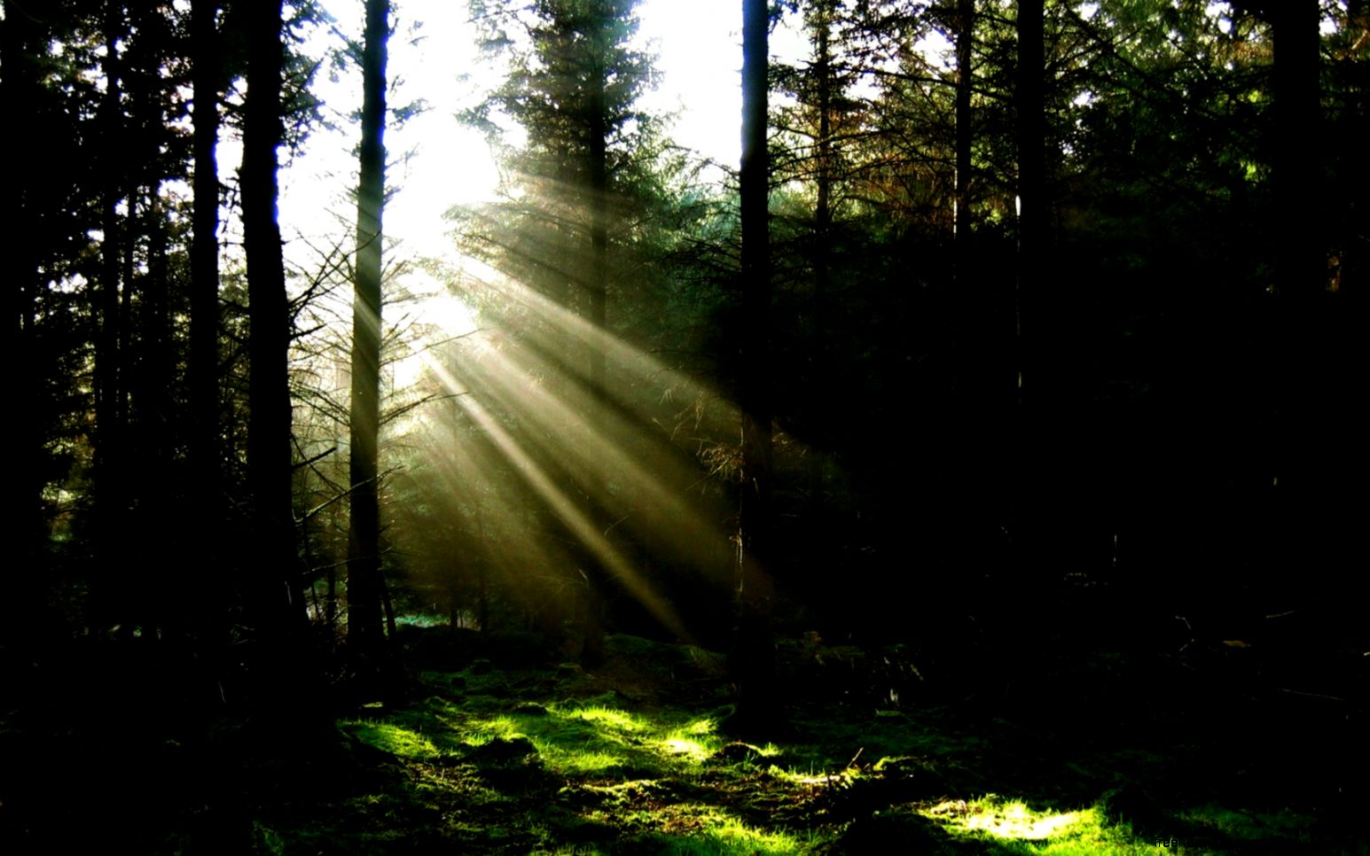 Free Widescreen Wallpaper 6795111 Free Widescreen Wallpaper 6795111
