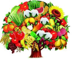 Enzyme diet http://ssw5.blogspot.com.au/2014/05/Loseweightdonotrebound.html#.U2sOy4GUaYU