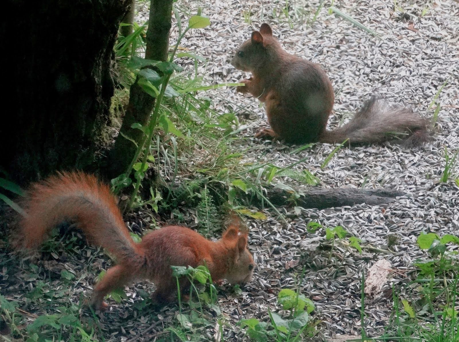 Mother and baby